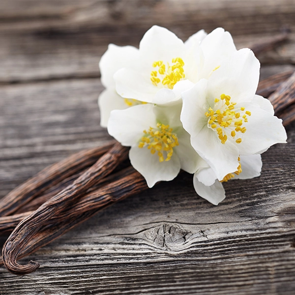 Vanilla Aromatic Incense Agarbatti Sticks Manufacturer in India Sweet vanilla fragrance agarbatti sticks handcrafted by premium incense manufacturers in India